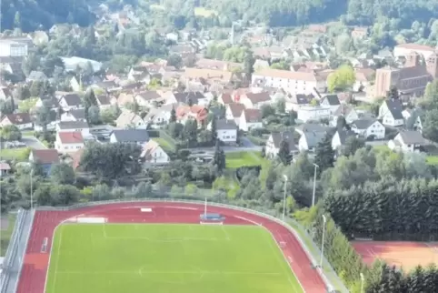 Wird das Hauensteiner Wasgaustadion ein Kunstrasenfeld erhalten? Heute Nachmittag berät der Bauausschuss des Kreistags über eine