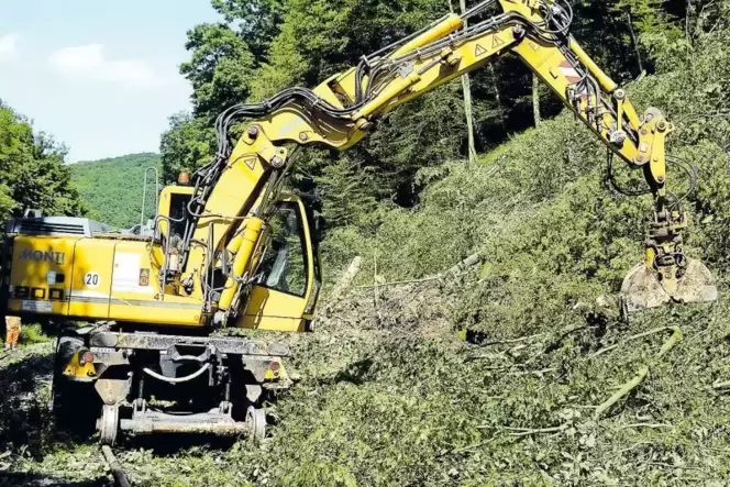 Juni 2016: Nach einem Unwetter über der Nordpfalz gerät nördlich des Imsweilerer Eisenbahntunnels ein Hang ins Rutschen. Die Auf Juni 2016: Nach einem Unwetter über der Nordpfalz gerät nördlich des Imsweilerer Eisenbahntunnels ein Hang ins Rutschen. Die Auf