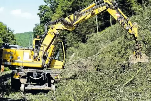 Juni 2016: Nach einem Unwetter über der Nordpfalz gerät nördlich des Imsweilerer Eisenbahntunnels ein Hang ins Rutschen. Die Auf
