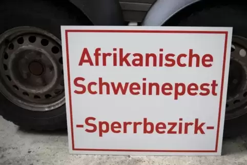 Experten warnen weiter vor der Ausbreitung der Afrikanischen Schweinepest. Foto: dpa 