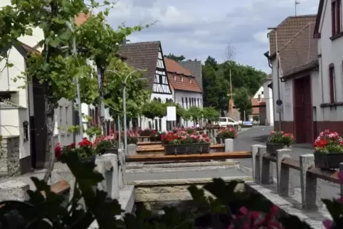 Bei der Kerwe in Kleinkarlbach – hier eine Ortsansicht – muss künftig früher Schluss sein.  Foto: SCHOBER 