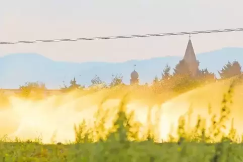 Großer Vorteil in der Region: Die Bauern können ihre Felder bewässern. Otterstadt und Waldsee (dort entstand das Foto) sind an d