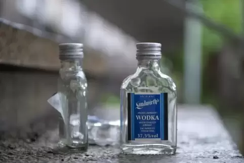 Die Täter waren laut Polizei vermutlich alkoholisiert.  Symbolfoto: dpa 