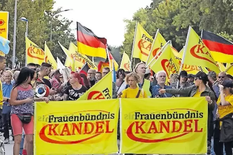 Demo mit nationalistischem bis rechtsradikalem Gedankengut am Samstag in Kandel.