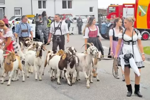 Mit Spaß und Ziegen im Festzug vertreten: die Gemeinde Schweix.