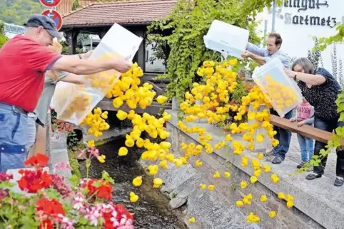 Rund 400 gelbe Gummi-Enten lieferten sich am Kerwemontag in Kleinkarlbach auf dem Eckbach ein spannendes Rennen.