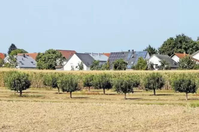 Blühende Landschaft: Zwischen Mühlhofen und Ingenheim soll ein Neubaugebiet mit rund 40 Bauplätzen entstehen – mit schnellen Int Blühende Landschaft: Zwischen Mühlhofen und Ingenheim soll ein Neubaugebiet mit rund 40 Bauplätzen entstehen – mit schnellen Int