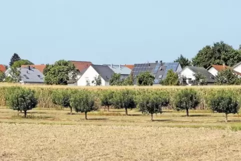 Blühende Landschaft: Zwischen Mühlhofen und Ingenheim soll ein Neubaugebiet mit rund 40 Bauplätzen entstehen – mit schnellen Int
