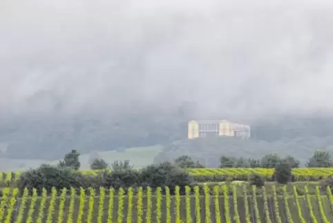 Die„Vineyard Walks“sind entschleunigte Weinbergswanderungen zwischen Schloss Villa Ludwigshöhe und Gleisweiler