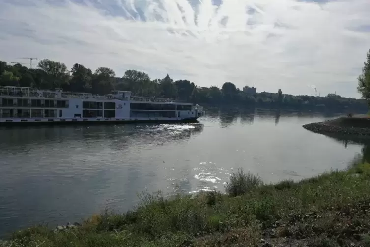 Das Flusskreuzfahrtschiff sitzt seit Stunden in Höhe der Ludwigshafener Schneckennudelbrücke fest. Foto: pmü 