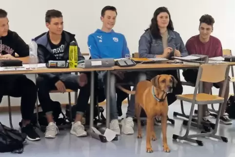 Mit ihrer bloßen Anwesenheit zaubert Shani ein Lächeln auf die Gesichter der Schüler.