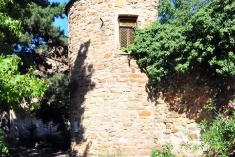In Deidesheim soll das Umfeld des Turmschreiberturms hergerichtet werden. Auch hier sind Helfer willkommen. ARCHIVFoto: LM