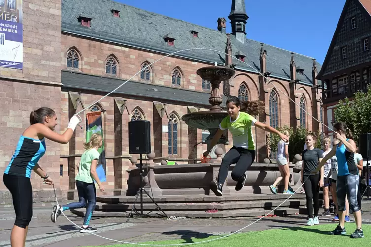 Neustadt_Querfaelltein_2018_-13-_LM.jpg