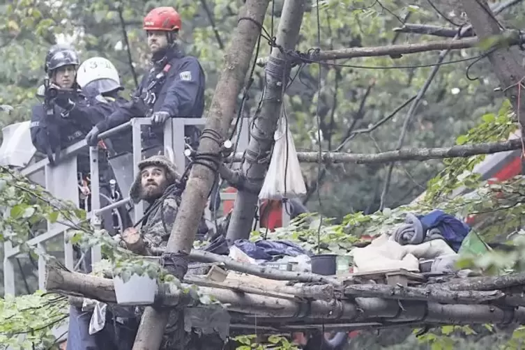 Polizisten versuchen mit einem Hubwagen, an einen Umweltaktivisten im Baum zu kommen.
