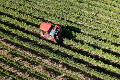 dji_0767.JPG