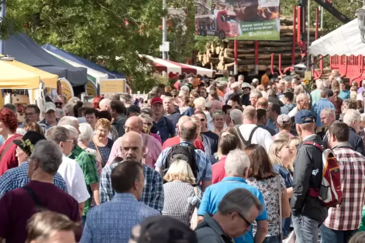 bauernmarkt11.JPG