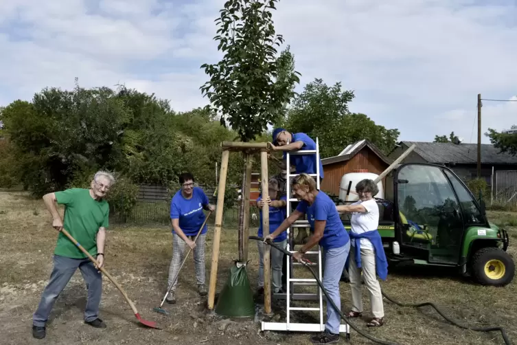 20180915_0521_baum.JPG
