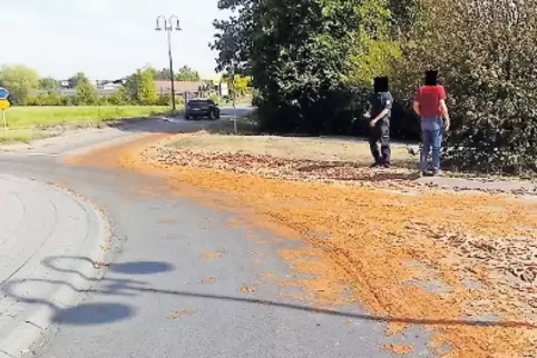 Orange vor lauter Rüben: Straße bei Maxdorf.