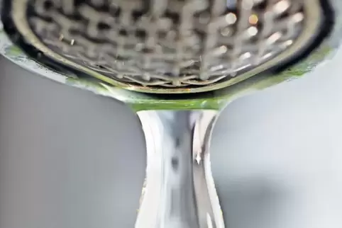 Auch in dem diesjährigen extrem trockenen Sommer sei die Kapazität des Trinkwasserhochbehälters Hettenleidelheim ausreichend gew
