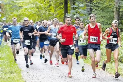 Das Volk läuft: Von der Sommerfesthalle geht’s zehn Kilometer durch die Rheinauen.