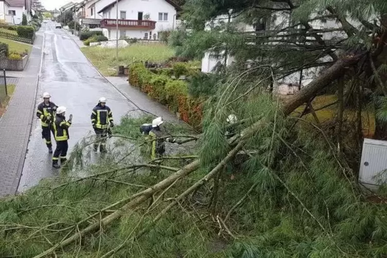 In der Bechhofer Talstraße räumte die Feuerwehr einen umgestürzten Baum von der Straße.  Foto: Feuerwehr 