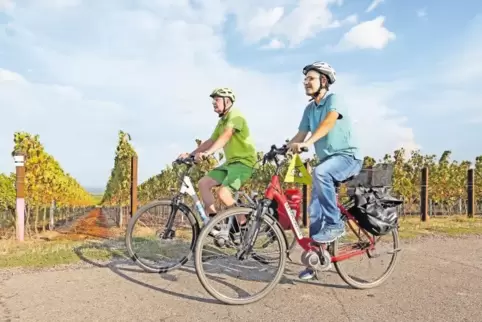 Mit Pedelecs lässt sich die Fahrt durch die Weinberge, die einen Auf und Ab führt, besonders genießen. Norbert Arend (links) und