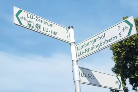 Elias Weinacht wünscht sich mehr Schilder dieser Art, mit Richtungs- und Kilometerangaben. Schilder, die Radfahrer führen.