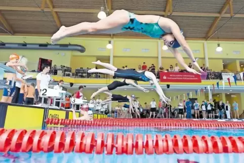 Qualifikationszeiten anvisiert: Beim Nationalen Schwimmfest des KSK wollen sich einige Sportler mit guten Leistungen auch für di