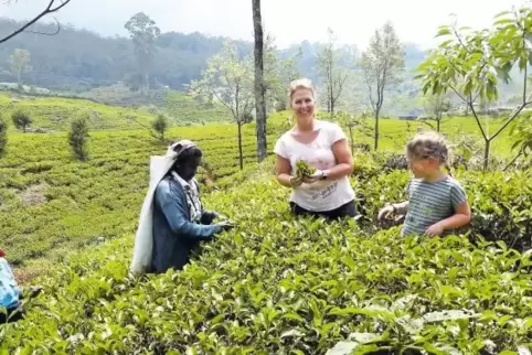 Kim Koch auf einer Teeplantage in Sri Lanka: Sie ist leidenschaftliche Teetrinkerin und hat ihr Hobby zum Beruf gemacht. Jetzt e