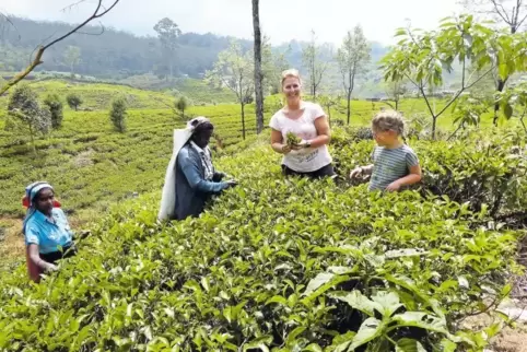 Kim Koch auf einer Teeplantage in Sri Lanka: Sie ist leidenschaftliche Teetrinkerin und hat ihr Hobby zum Beruf gemacht. Jetzt e
