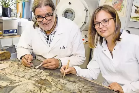 Elena Peter übernimmt die Aufgaben von Präparator Thomas Bach , der das Geoskop nach rund 17 Jahren verlässt.