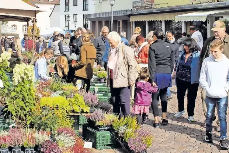 Vielf&auml;ltiges Angebot: Saisonales f&uuml;r Beet und Garten ist beim Bauernmarkt immer wieder beliebt.