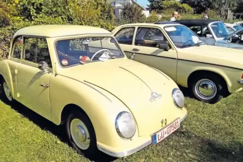 Rund 450 Oldtimer und 80 historische Motorräder füllten die Stellplätze in Knittelsheim.
