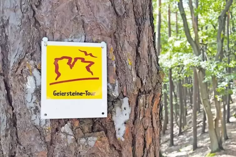 Die Geiersteine-Tour weist Wanderern den Weg.