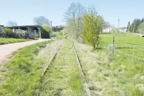 Zum Greifen nah: der Radweg auf der alten Bachbahntrasse.