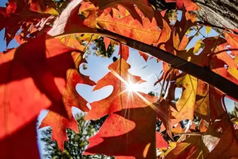 Am Wochenende zieht das Wetter wohl viele ins Freie. Foto: dpa 