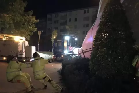 Mitarbeiter der Transportsicherungsfirma versuchen, den Baum aus dem Weg zu ziehen. Foto: Meier 