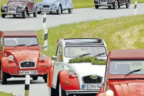 Enten-Ausflug mit fröhlichem Motoren-Geschnatter.