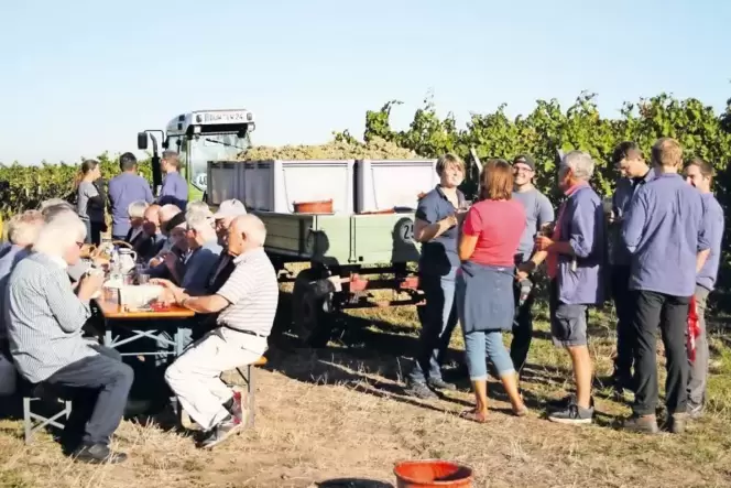 Nach der Arbeit das Vergnügen: die Teilnehmer der Promi-Weinlese genießen den Feierabend.
