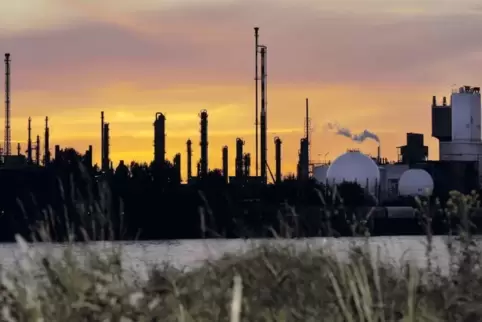 Die Ludwigshafener BASF ist mit weitem Abstand das größte und umsatzstärkste Unternehmen in Rheinland-Pfalz. Das Bild zeigt den 