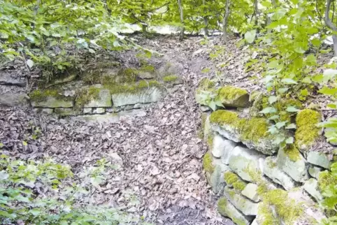 Mit Erde und Laub verschüttet: Reste des „Zuckerbrückels“ und der Sandsteinmauer des Scheidgrabens in Heiligenstein.
