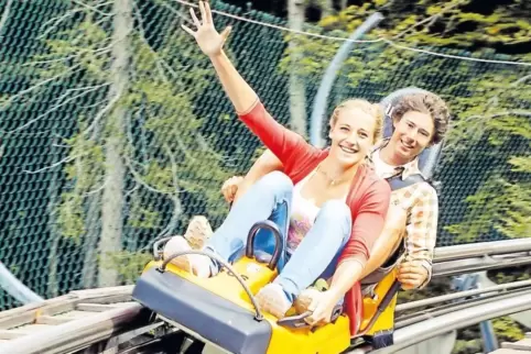 Schienengeführte ,Alpin Coaster’ sollen es sein, falls die Sommerrodelbahn am Donnersberg wahr wird.