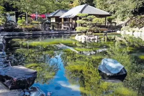 Idylle nahe der Kaiserslauterer Innenstadt: der Japanische Garten. Der große Teich ist im Frühjahr neu gestaltet worden.