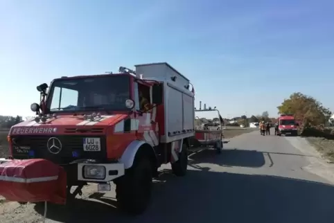 Die Feuerwehr war mit mehreren Rettungseinheiten im Einsatz.  Foto: Feuerwehr Rheinauen 
