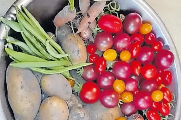 Regionaler geht’s nicht: Gemüse aus dem eigenen Garten.
