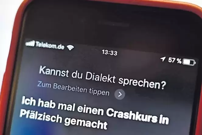 Die Jugend hat Dialekt für sich entdeckt und nutzt ihn gern beim Chatten, sagt Walter Sattel. Die Jugend hat Dialekt für sich entdeckt und nutzt ihn gern beim Chatten, sagt Walter Sattel.