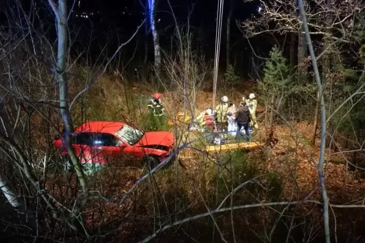 Der Wagen des 22-jährigen Autofahrers hatte eine Frau, die auf der Pfaffbrücke gestanden hatte, mit in die Tiefe gerissen.  Foto