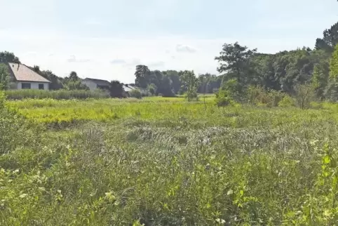 Blick über die Weiherwiesen Richtung Alsenbrück.