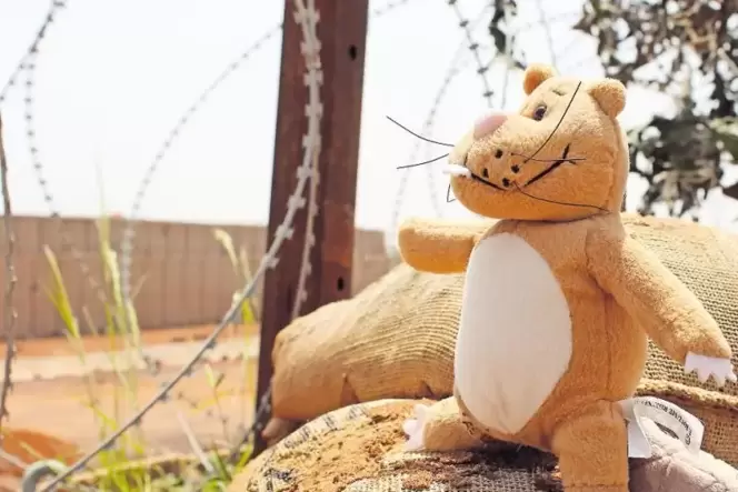 Nils Nager darf nur vom Schutzwall aus nach draußen schauen: Um mit den Soldaten das Feldlager in Mali zu verlassen, müsste er H Nils Nager darf nur vom Schutzwall aus nach draußen schauen: Um mit den Soldaten das Feldlager in Mali zu verlassen, müsste er H