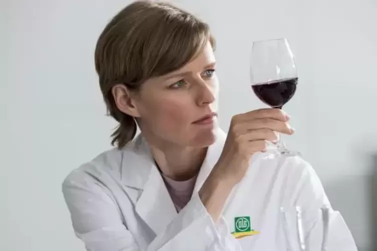 Für die DLG-Bundesweinprämierung werden in vier Prüfrunden jährlich insgesamt über 4000 deutsche Weine und Sekte bewertet. Foto: